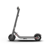 Segway Ninebot Kickscooter E25A